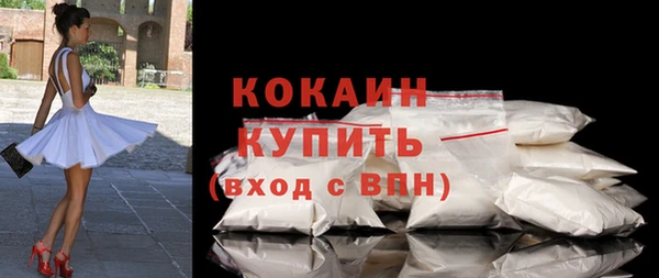 дживик Новодвинск