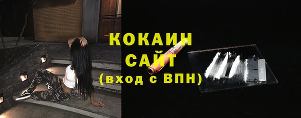 дживик Новодвинск