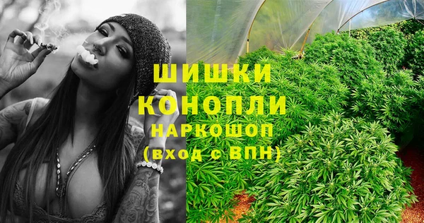 дживик Новодвинск