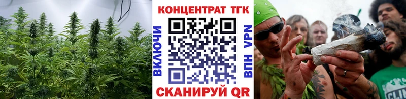 ТГК Wax Кизляр