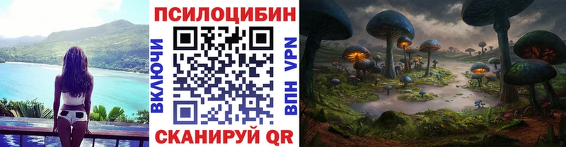 Галлюциногенные грибы Psilocybe  Кизляр 