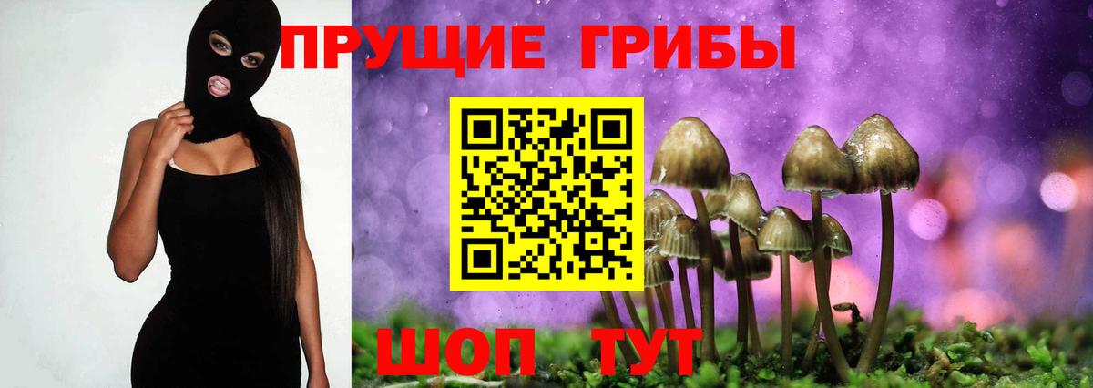 Псилоцибиновые грибы прущие грибы  Галлюциногенные грибы Magic Shrooms  наркошоп  Кизляр  Вход с VPN 